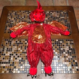 Pottery Barn Dragon Costume
